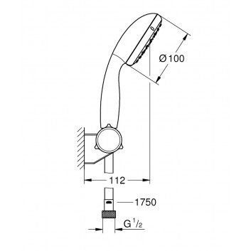 Grohe New Tempesta 100 Handbrause Chrom 