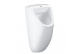 Urinal Grohe Bau Ceramic, podłączenie z tyłu - alpenweiß