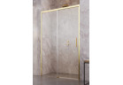 Tür Dusch- für die Nische Radaway Idea Gold DWJ, links, 160cm, Schiebe-, Glas transparent, profil golden