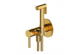 Set bidetowy punktowy Omnires Y, Unterputz, 1-funkcyjny, golden