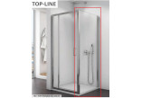 Tür einteilig SanSwiss Top-Line (TED) mit Festwand w linii, 120x190cm, weißes Profil, transparentes Glas