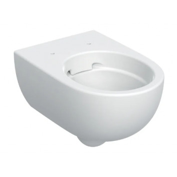 Geberit Selnova Hängend Becken WC, Tiefspül-, B36cm, H33cm, T53cm, ukryte mocowania, Rimfree