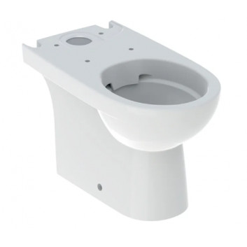 Geberit Selnova Stehend Becken WC do spłuczki nasadzanej, Tiefspül-, B35.5cm, H40cm, T66cm, częściowo ukryte mocowania, Abfluss uniwersalny, Rimfree