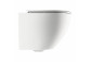 Bezkołnierzowa Becken Toiletten- hängend mit WC-Sitz mit Softclosing, 49x37 cm, Omnires Ottawa - Weiß matt 