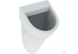 Urinal Geberit Flow,Zulauf von hinten, Abfluss do tyłu, weiß