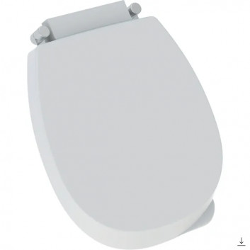 Urinal Geberit Flow,Zulauf von hinten, Abfluss do tyłu, weiß