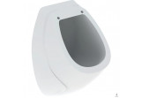 Urinal Geberit Sorso, do pokrywy, Zulauf von hinten, Abfluss do tyłu, weiß