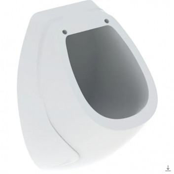 Urinal Geberit Flow,Zulauf von hinten, Abfluss do tyłu, weiß