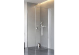 Tür Dusch- für die Nische Radaway Essenza Pro Gold DWJ 130, rechts, 1300x2000mm, golden profil