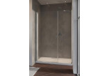 Tür Dusch- Radaway Nes KDS II 120, links, 1200x2000mm, silbern profil
