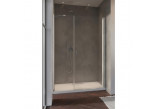Tür Dusch- Radaway Nes KDS II 120, links, 1200x2000mm, silbern profil