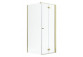 Tür Dusch- Radaway Nes Gold KDJ B 100, Falt-, links, 1000x2000mm - Glas transparent, profil golden Glanz