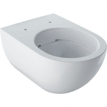 Becken wc Geberit Acanto hängend 53x35 cm, Tiefspül-, ukryte mocowania, TurboFlush, mit Schicht KeraTect - weiß
