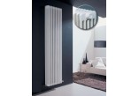 Grzejnik Irsap Tesi 2 60x90 cm - weiß- sanitbuy.pl