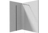 Duschwand Deante Prozma walk-in 80x195 cm - Glas transparent, profil gebürsteter Stahl