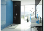 Duschwand Sanplast TX Walk-In 110x190 cm, silbernes Profil glänzend, Glas transparent- sanitbuy.pl