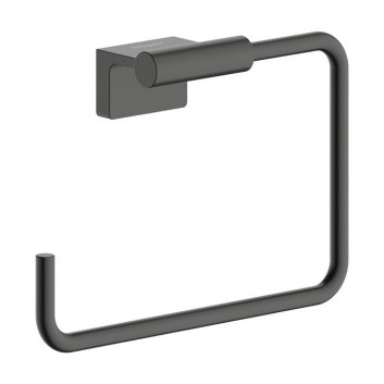Bürste do WC Hansgrohe AddStoris S z pojemnikiem, zur Wandmontage - schwarz gebürstetes Chrom