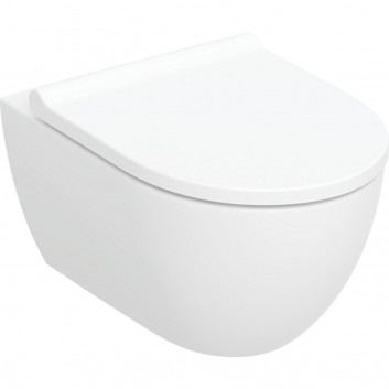 Becken ustępowa Geberit Acanto hängend 51x35 cm, ukryte mocowania, Rimfree - weiß