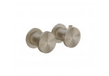 Thermostatisch Armatur Brause- mit 2-Anschlüssen Gessi Origini, Unterputz, 1 wyjścia wody, Chrom