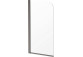 Duschwand Deante Prozma walk-in 80x195 cm - Glas transparent, profil gebürsteter Stahl