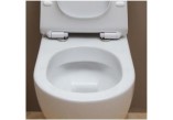 Wand-wc WC Flaminia Link 56 x 36 x 20 cm, schwarz außen/weiß wewnątrz, zdobienie, goclean- sanitbuy.pl